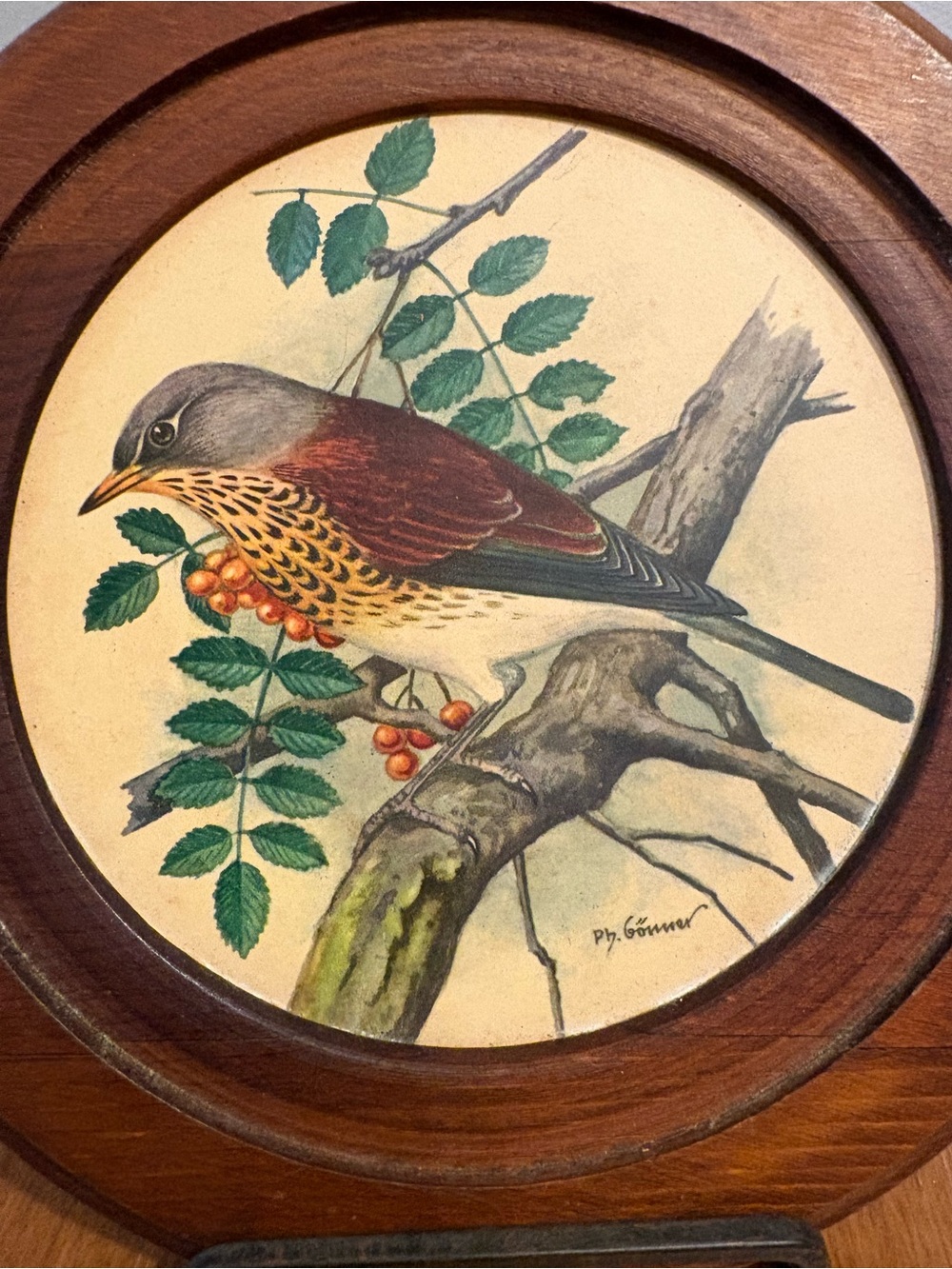 Vintage Bird Art in Round Wooden Frame - Ph Gunner - Picture 2 of 4